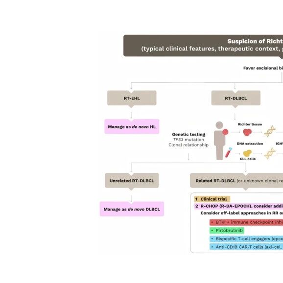 Hemasphere丨EHA慢性淋巴细胞白血病及Richter转化管理指南