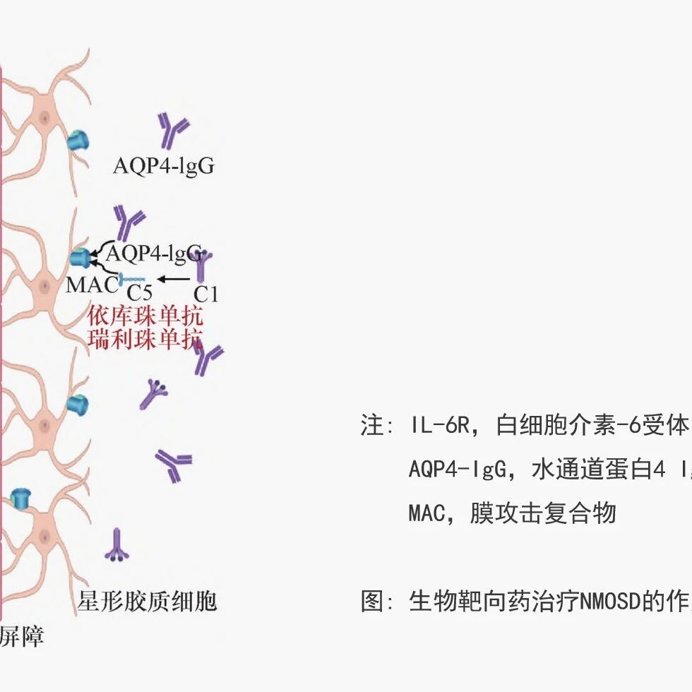 2026中国视神经脊髓炎谱系疾病生物靶向治疗专家共识！