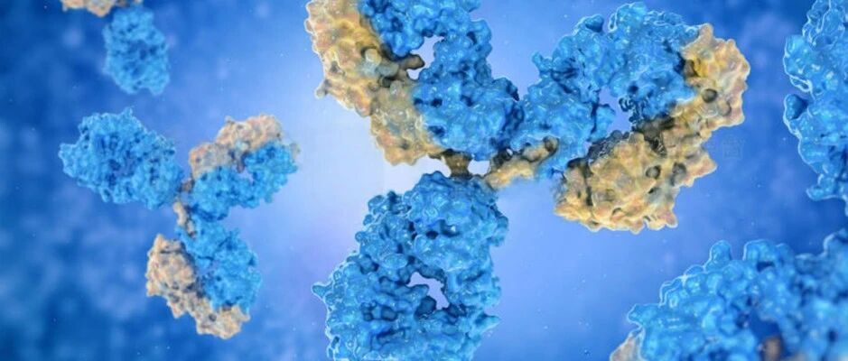 两名自身免疫性小脑性共济失调患者抗EEF1D抗体的研究